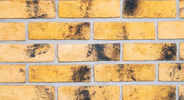 Doğal Kaplama Tuğla / 407-WEATHERED YELLOW BUFF